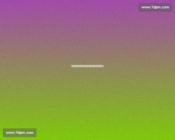 韦德揭秘梦八真硬仗：队内训练比奥运正赛更激烈